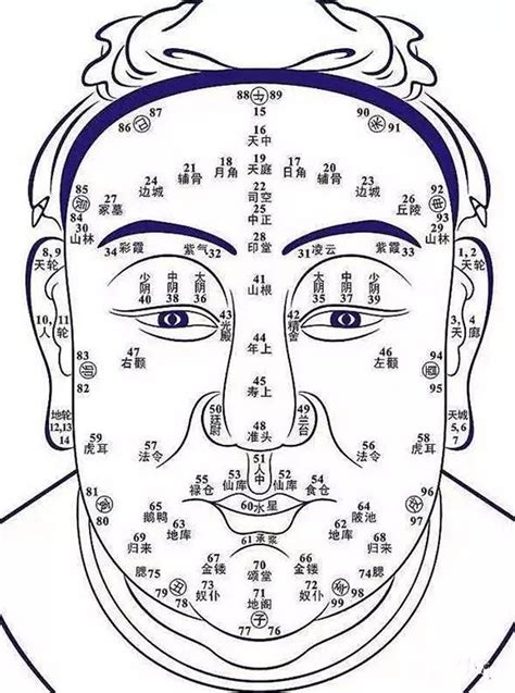 面相分析鼻子|史上最全的面相五官“算命”图文详解（精品收藏）